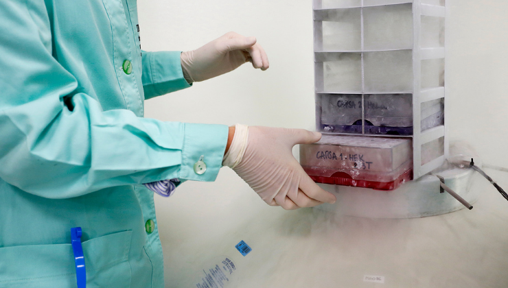 A member of the research team handles samples in the IMO Foundation laboratory.
