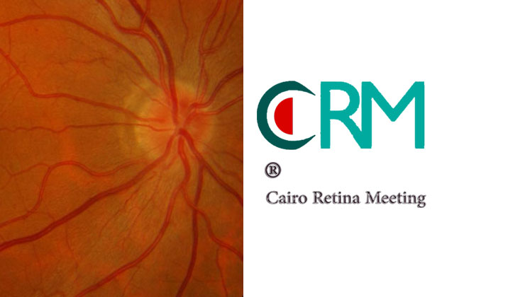 7th Cairo Retina Meeting 