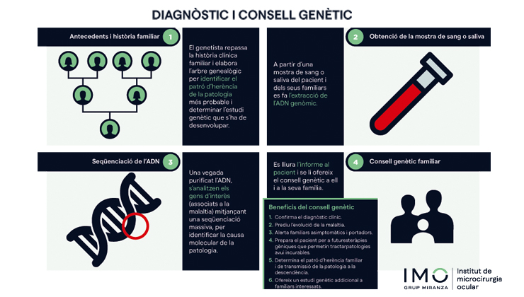 Diagnòstic i consell genètic
