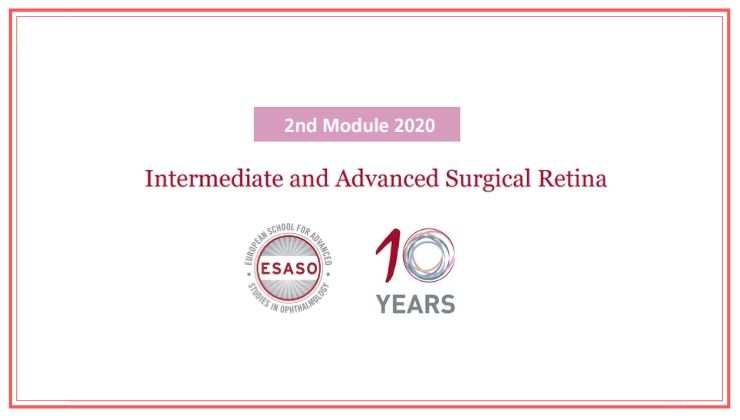 Intermediate and Advanced Surgical Retina ESASO 