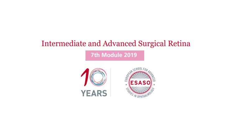 Intermediate and Advanced Surgical Retina
