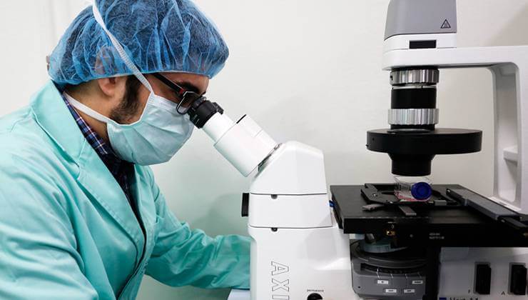 New progress of the IMO Foundation for the treatment of retinal diseases without cure
